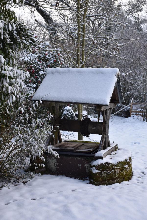 Manoir Le Courtillon Le Pont Rean ภายนอก รูปภาพ
